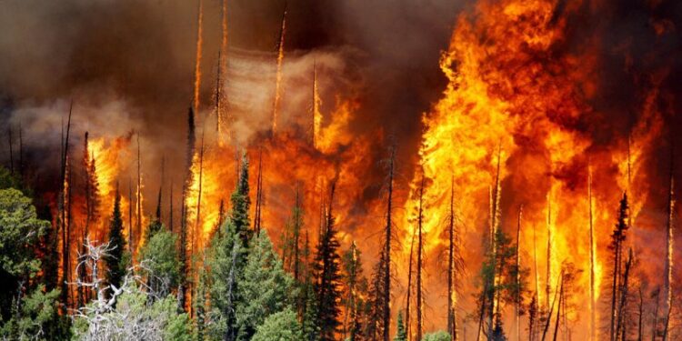Shkencëtarët e klimës, pjesë e Panelit Ndërqeveritar për Ndryshimet Klimatike (IPCC), shprehen se ngrohja globale do ta tejkalojë objektivin e 1.5°C